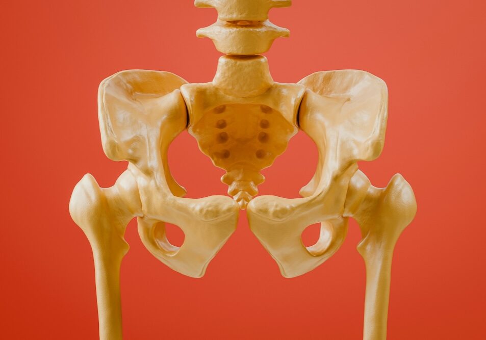 hip pain physical therapy